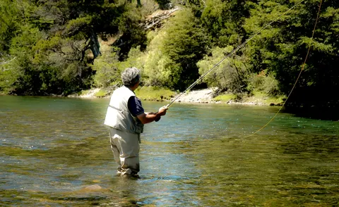 Pesca con mosca en el río Chimehuín