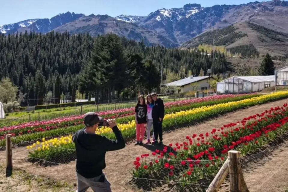 Vivero Provincial de Huinganco