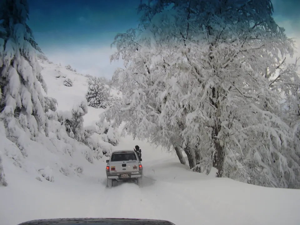 Bosque nevado en Bariloche